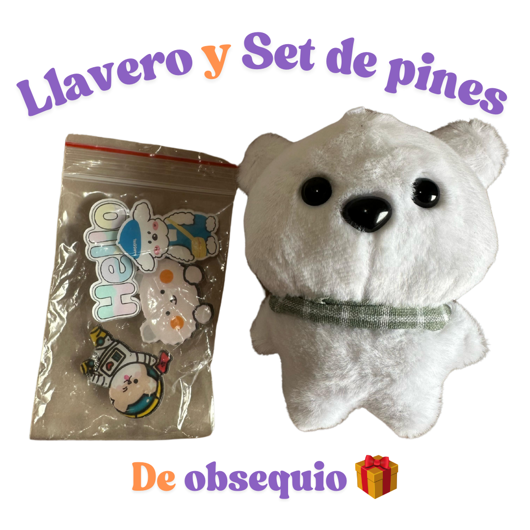 Mochila Urban Aesthetic